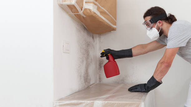 Professional Mold Removal technician working in Zebulon, NC