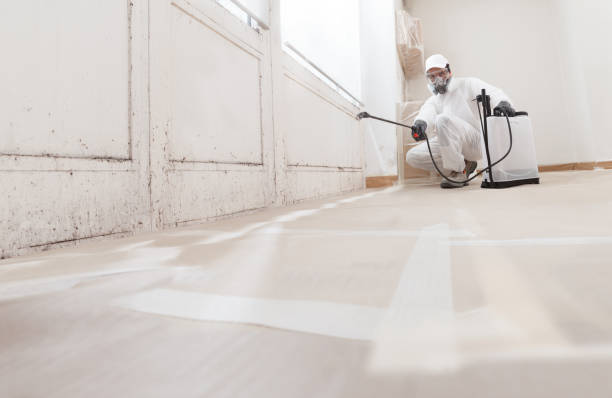 24/7 Emergency Mold Removal experts in Zebulon, NC
